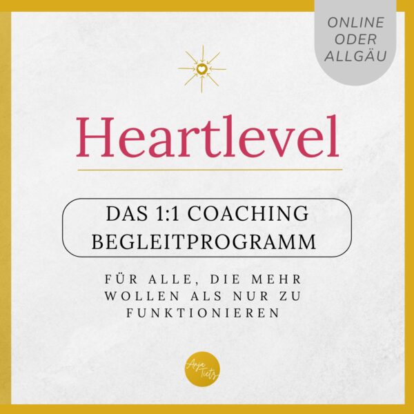Begleitprogramm Heartlevel