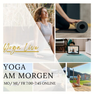 Live-Kurs Yoga am Morgen - Zugangsdaten
